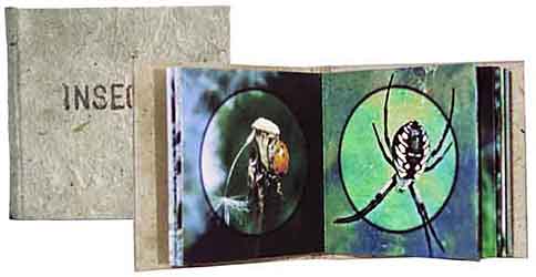 insects minature book nature's details